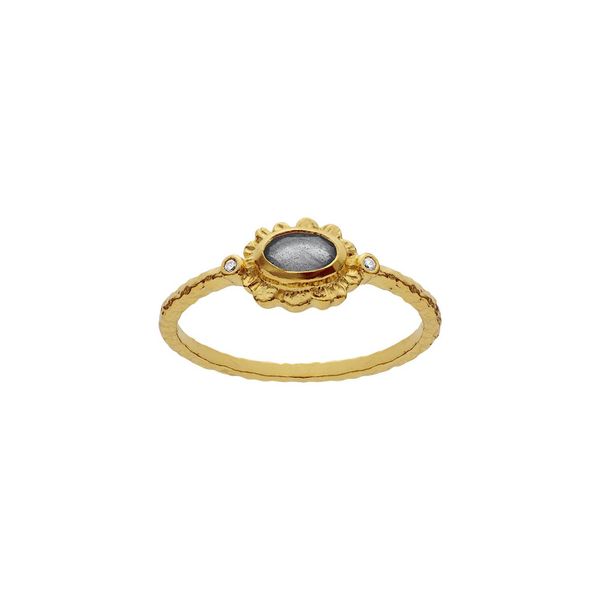 Hovedbilde Lia ring, Maanesten