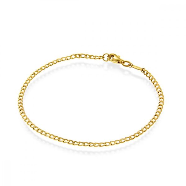 Hovedbilde Gull armbånd panser 2mm