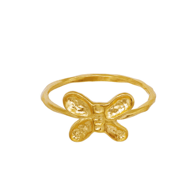 Hovedbilde Pepe ring, Maanesten