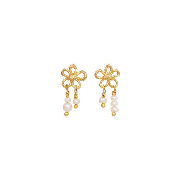 Hovedbilde Nicola Øredobber, Maanesten