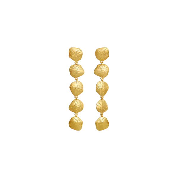 Hovedbilde Kishi Øredobber, Maanesten