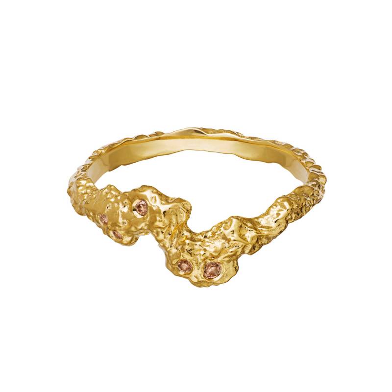 Frida ring, Maanesten