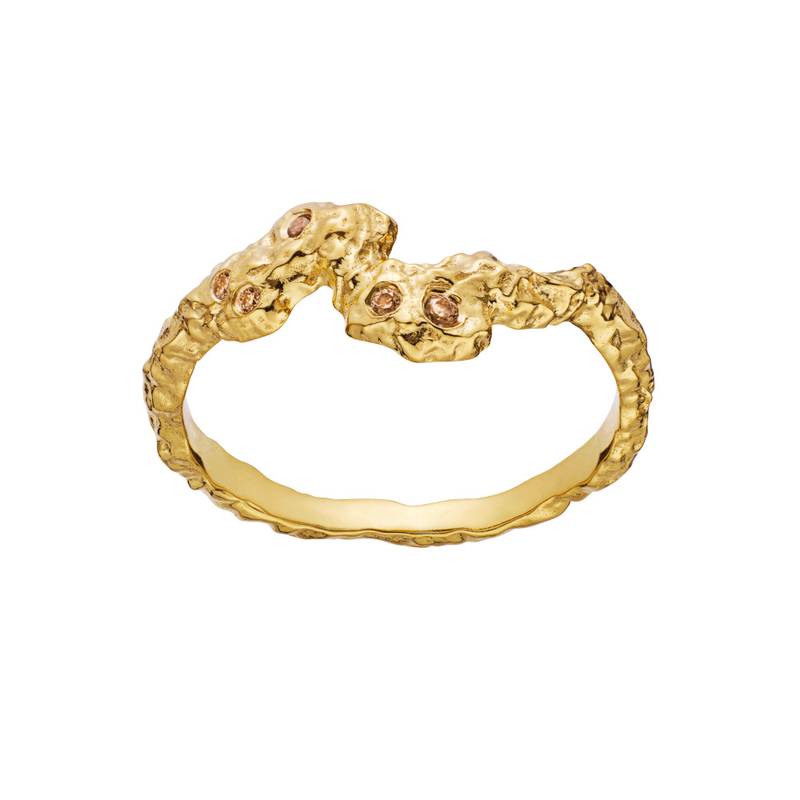 Frida ring, Maanesten